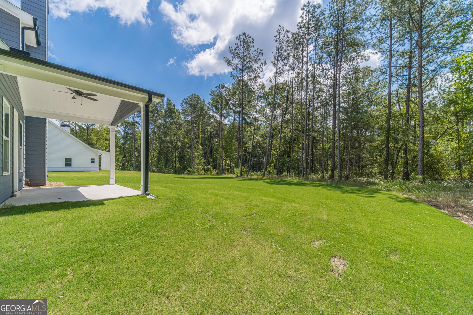 887 Bessie Court Loganville - Photo 38