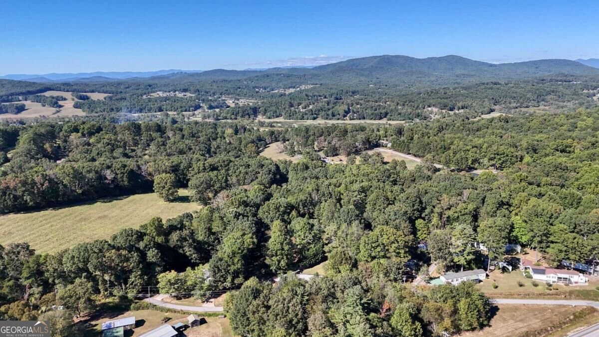 6 Uga Drive Blairsville - Photo 33