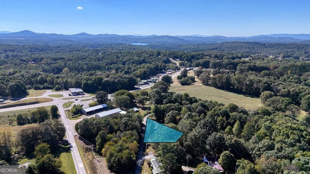 6 Uga Drive Blairsville - Photo 35