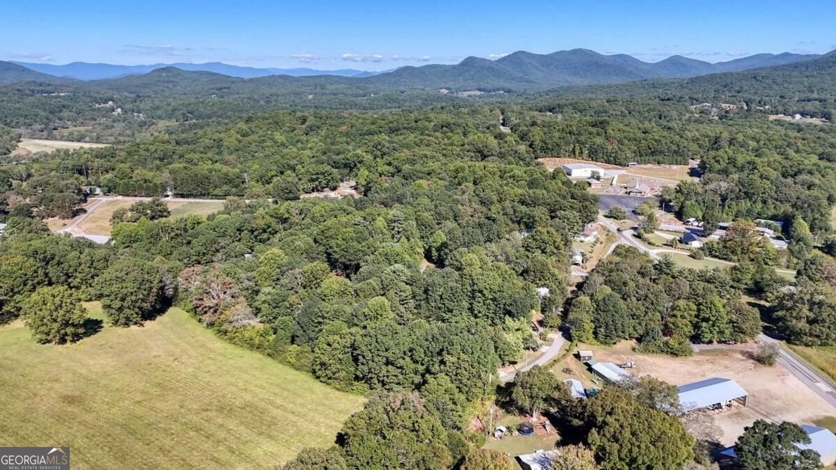 6 Uga Drive Blairsville - Photo 37