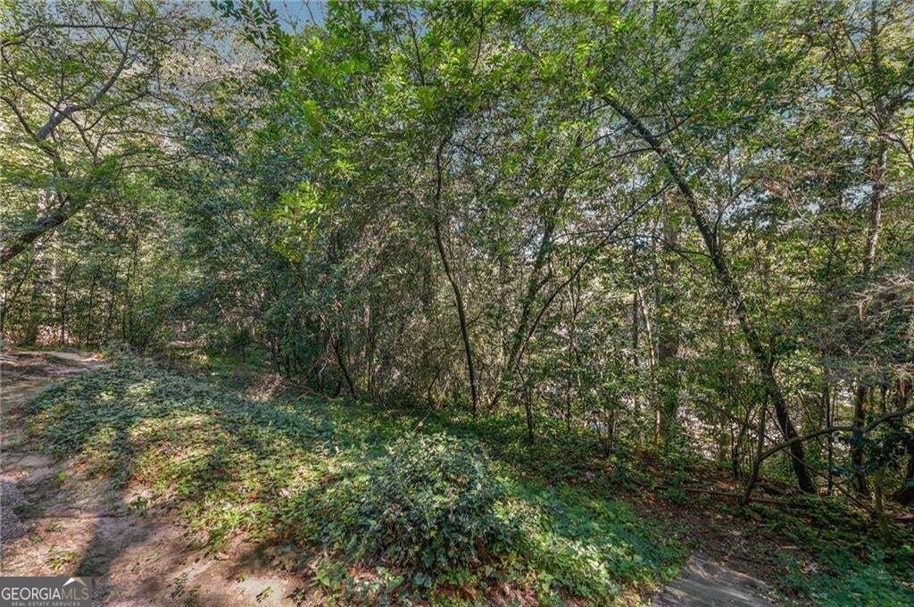 79 Adrian Place Atlanta - Photo 21