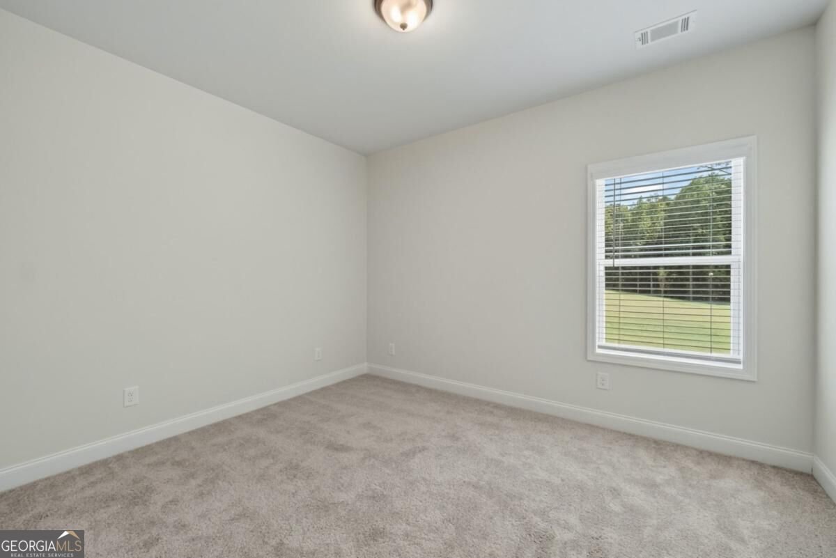 897 Bessie Court Loganville - Photo 29