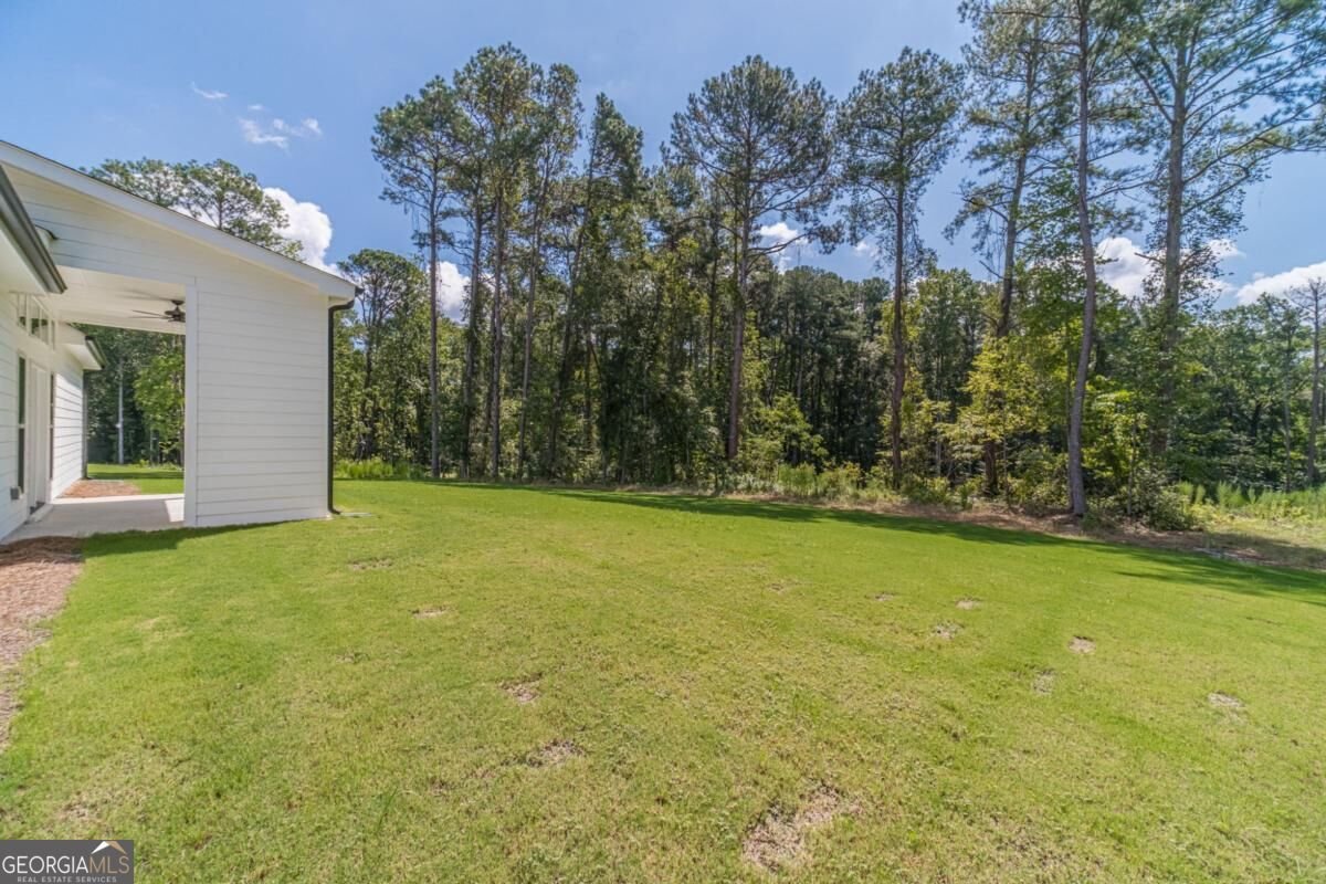 897 Bessie Court Loganville - Photo 37