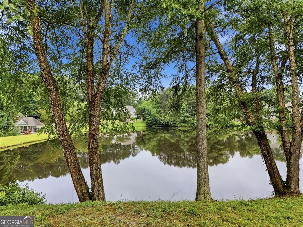 4343 Clairesbrook Lane Acworth - Photo 40