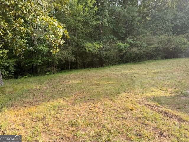 73 Amanda Lane Cartersville - Photo 10
