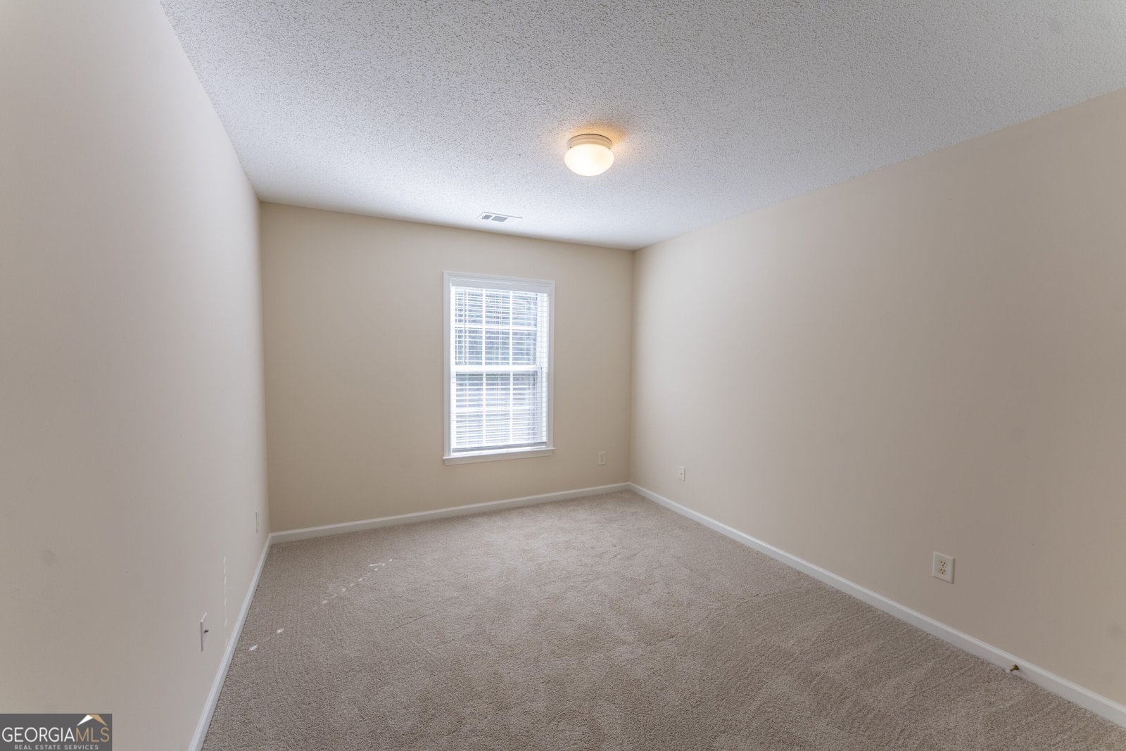 151 Wallnut Hall Circle Woodstock - Photo 26