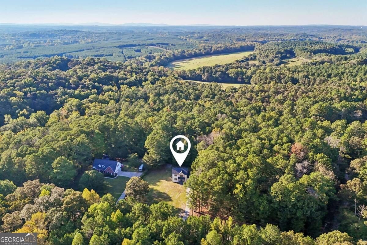 320 Mcdonald Road Tallapoosa - Photo 60