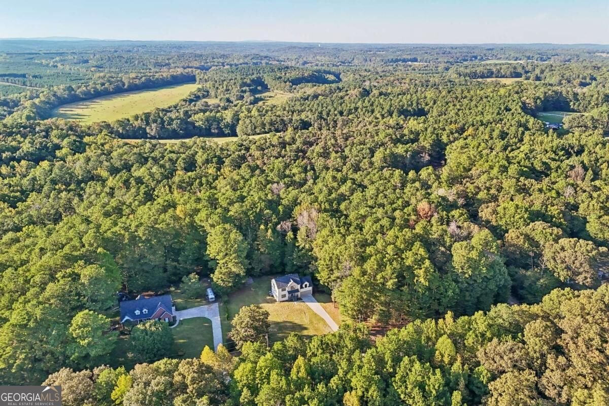 320 Mcdonald Road Tallapoosa - Photo 61