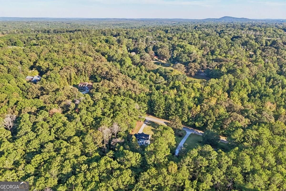 320 Mcdonald Road Tallapoosa - Photo 62