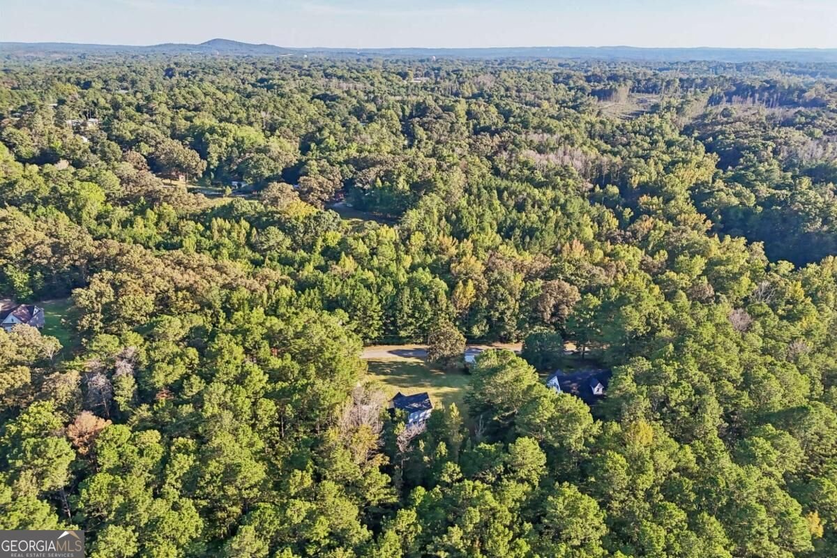 320 Mcdonald Road Tallapoosa - Photo 63
