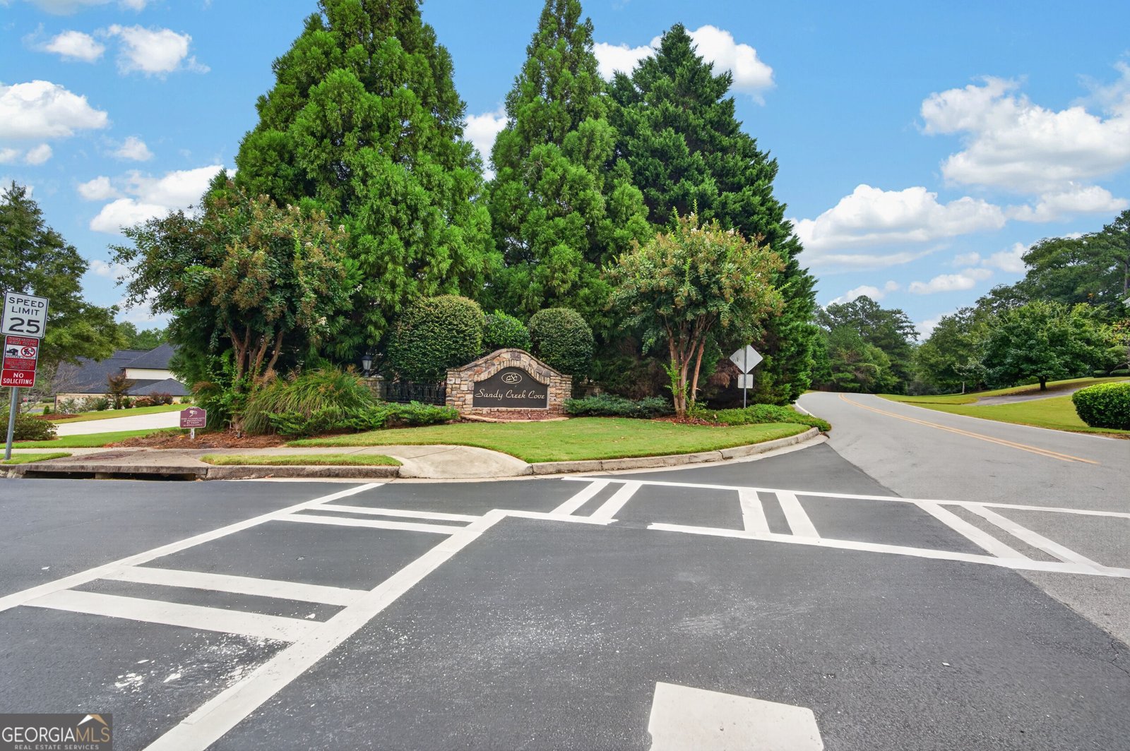 224 Amelia Way Loganville - Photo 42
