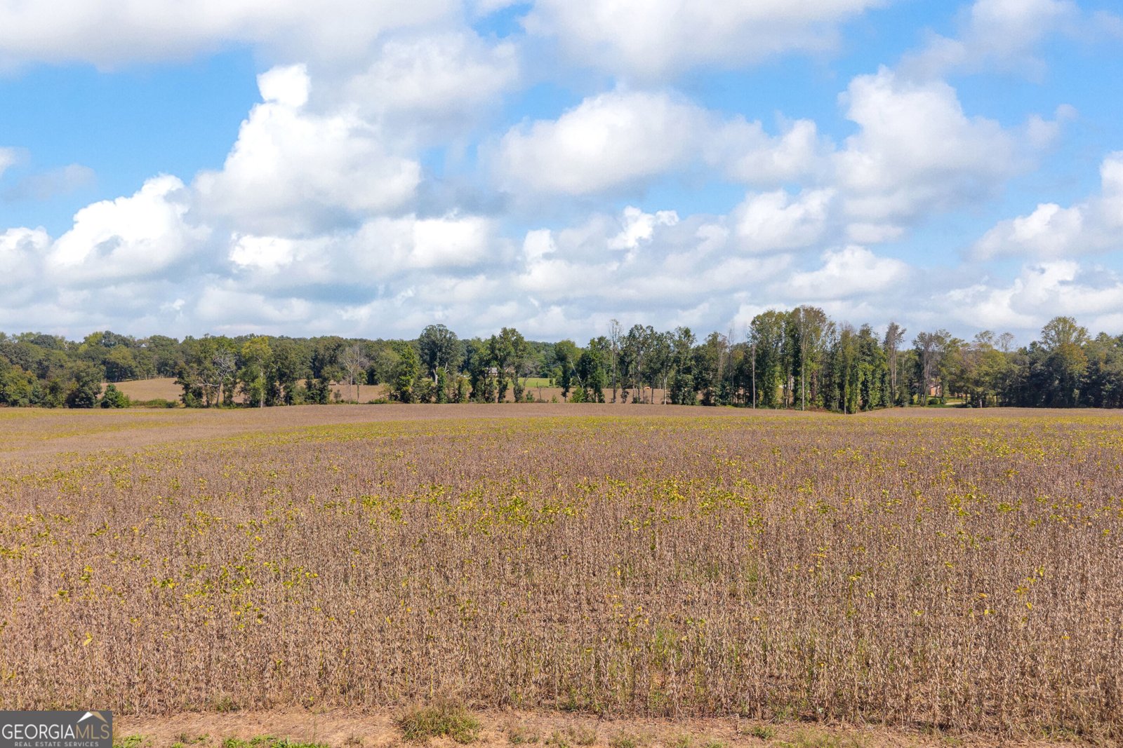 1398 Mt Hebron Road Hartwell - Photo 43