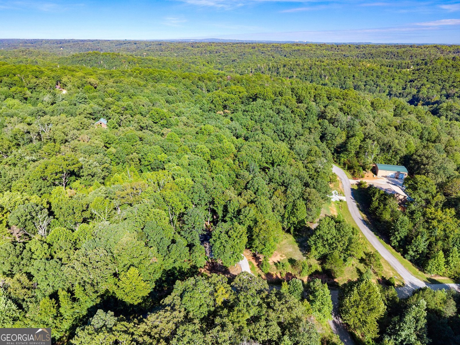 162 Hickory Ridge Drive Cleveland - Photo 38