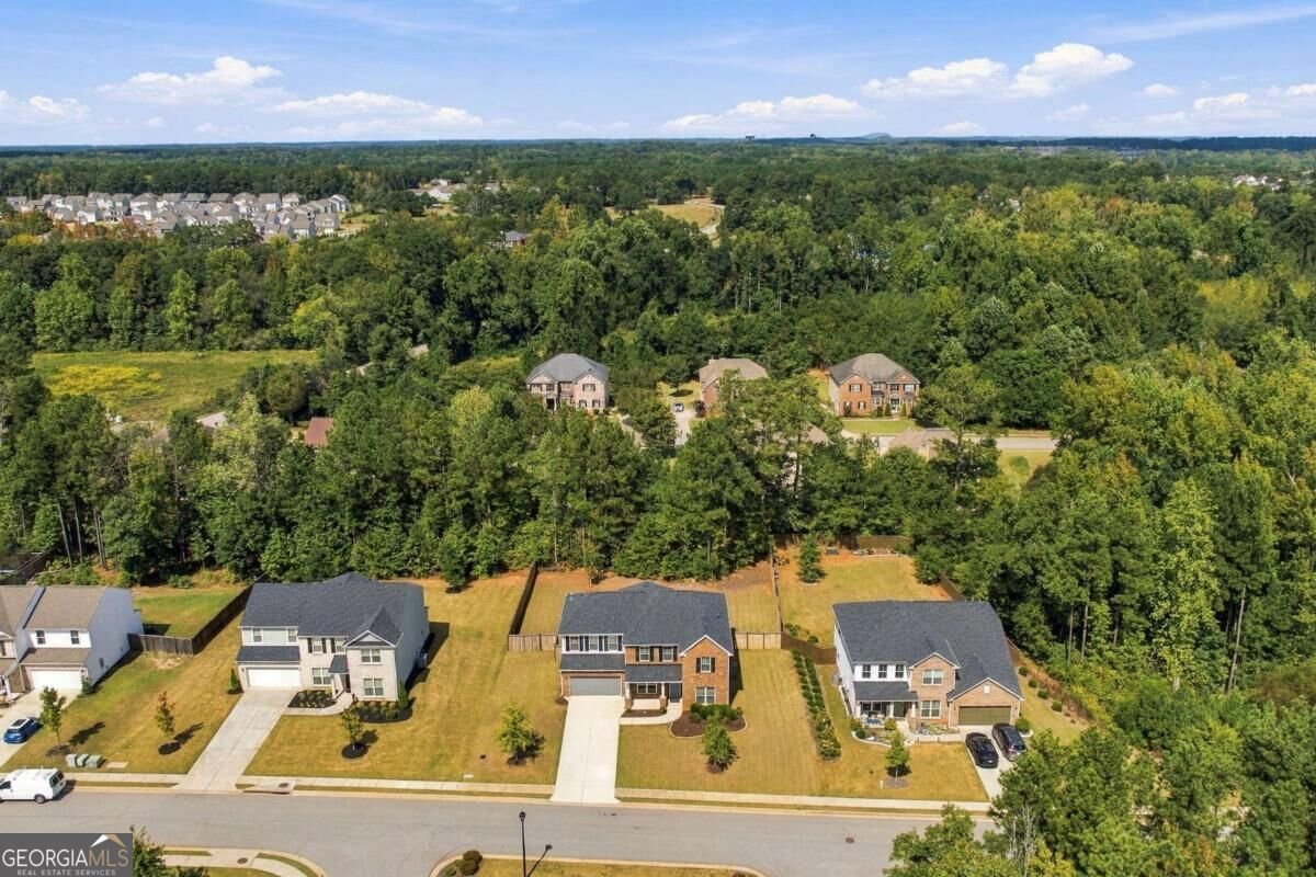 113 Himalaya Way Mcdonough - Photo 80