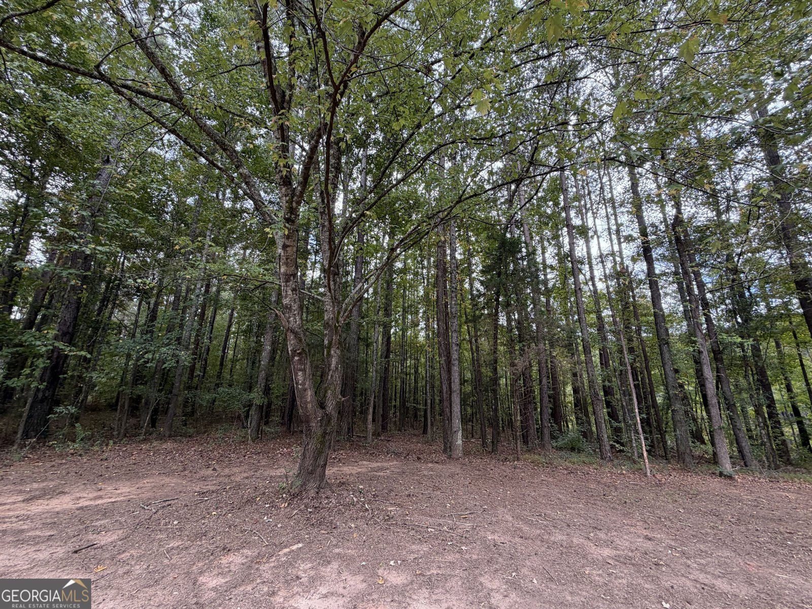 392 Ga Highway 74 Molena - Photo 20