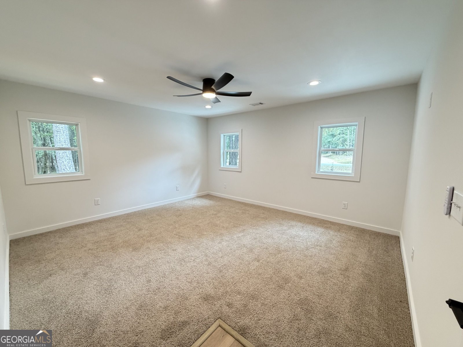 392 Ga Highway 74 Molena - Photo 7