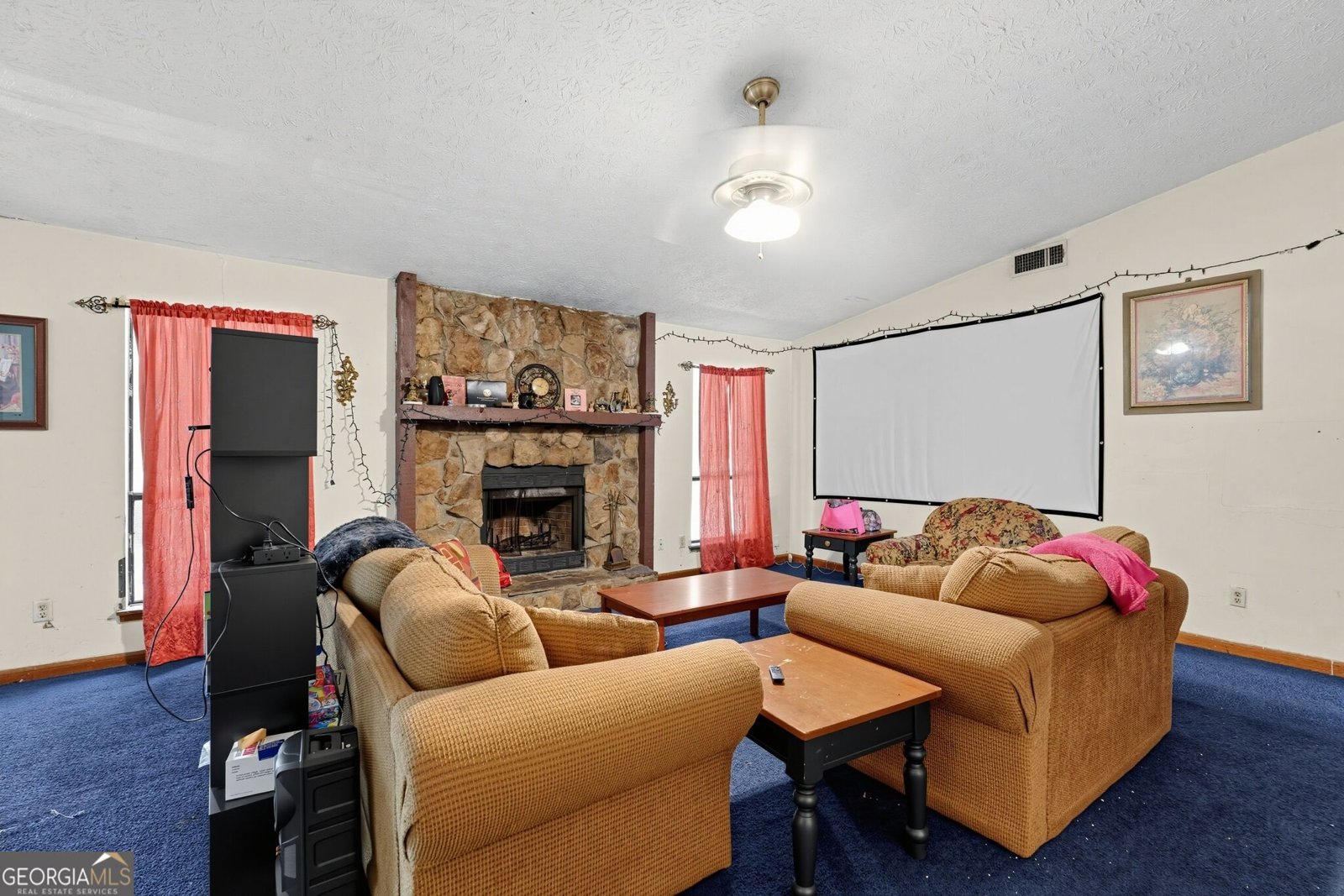 217 Avalon Way Riverdale - Photo 16
