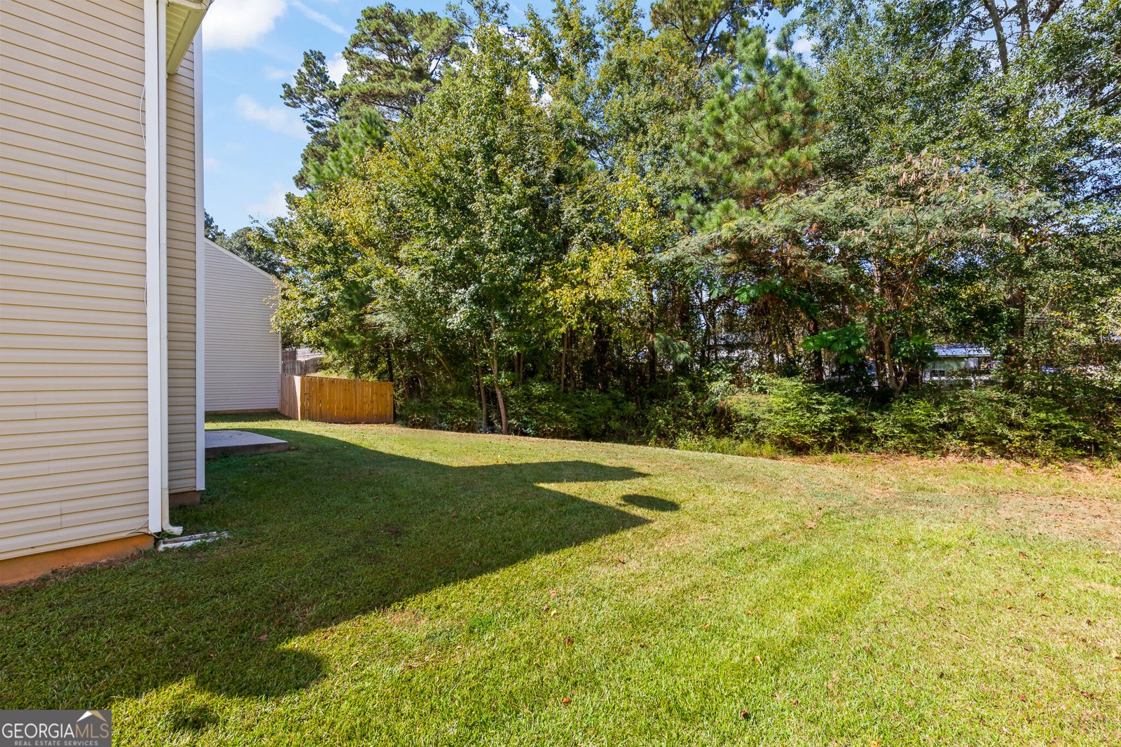 18 Belmont Park Ln Newnan - Photo 42
