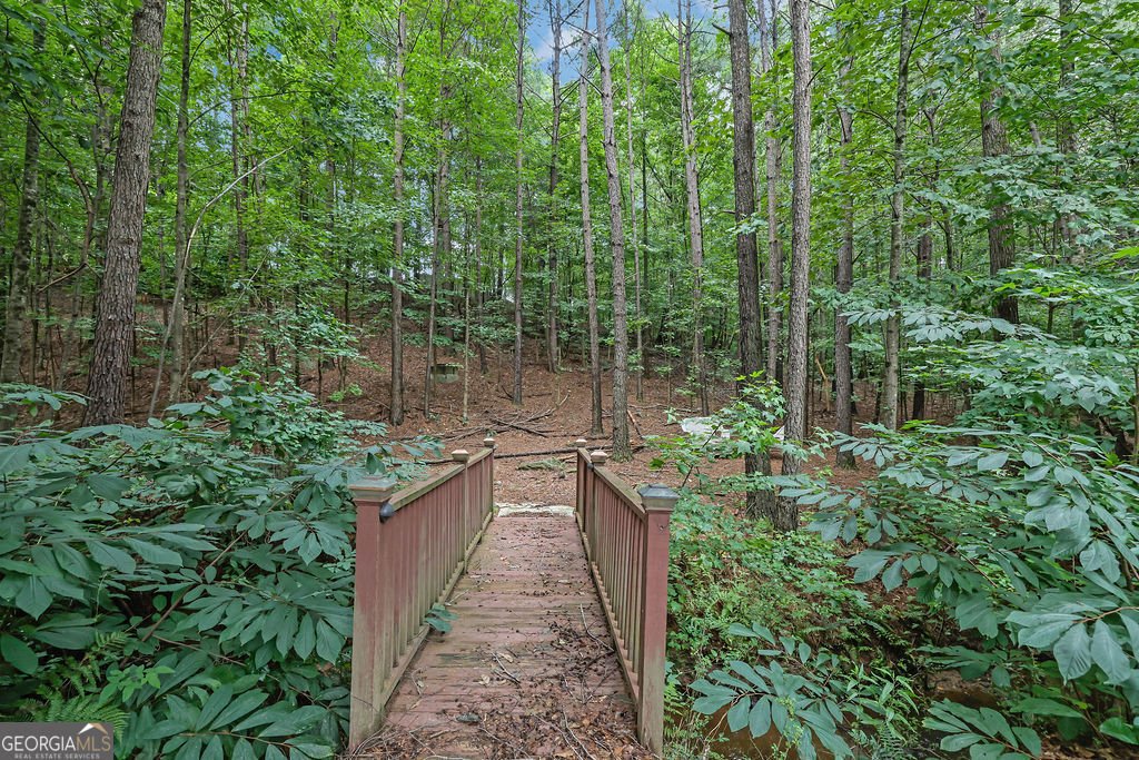 4294 Balmoral Glen Drive Norcross - Photo 54