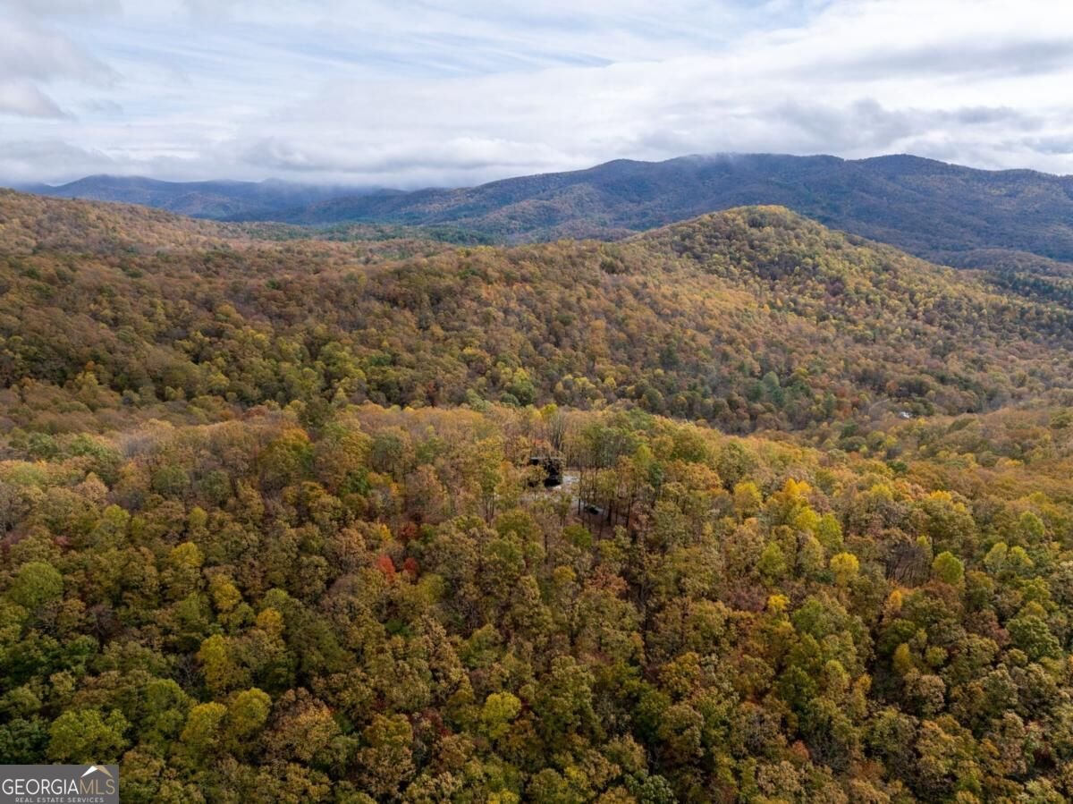 1250 Lost Forest Road Ellijay - Photo 38