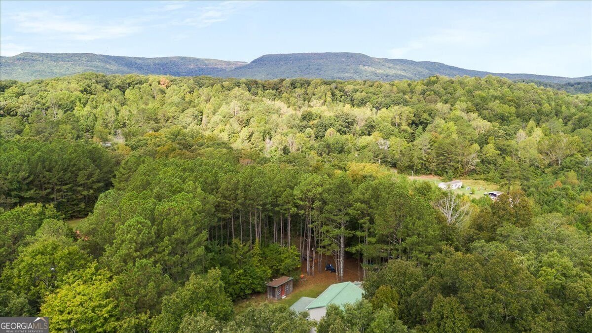 1293 Bronco Road La Fayette - Photo 24