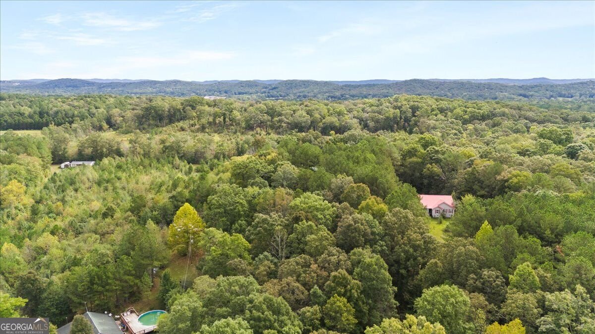 1293 Bronco Road La Fayette - Photo 33