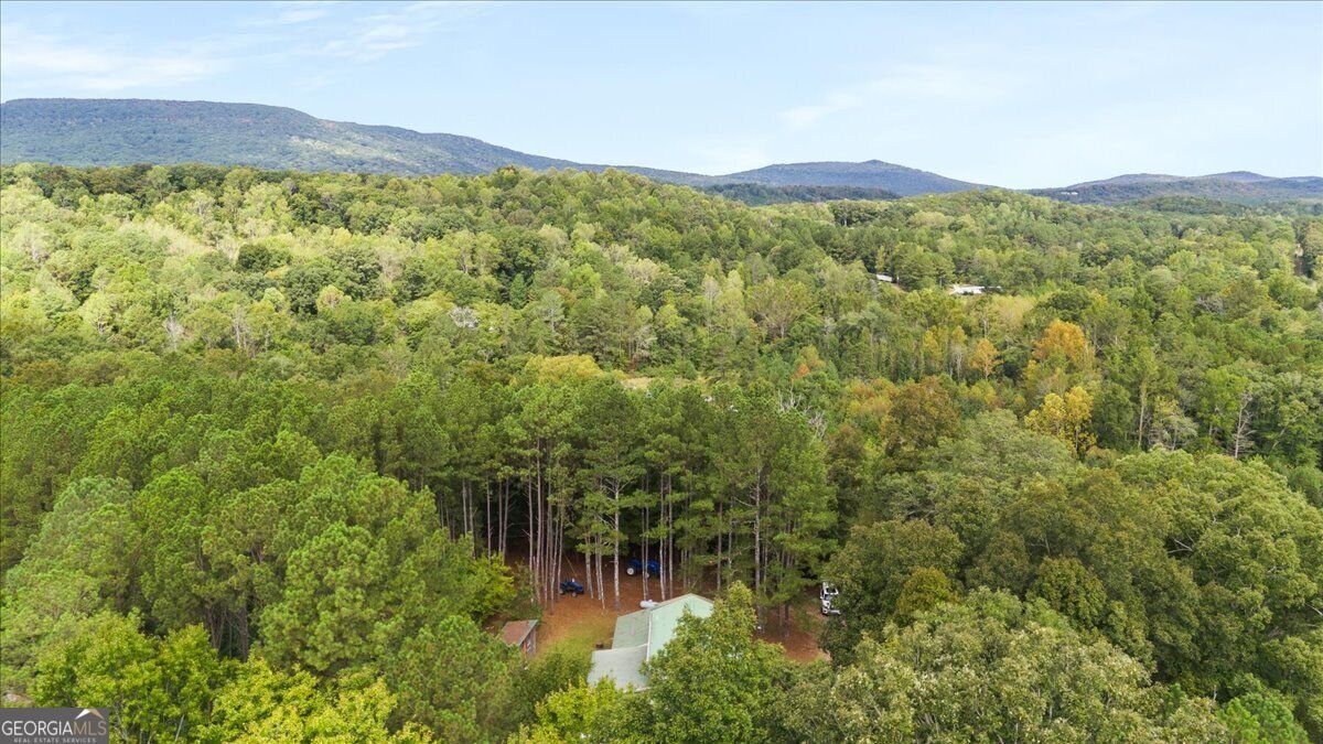 1293 Bronco Road La Fayette - Photo 34