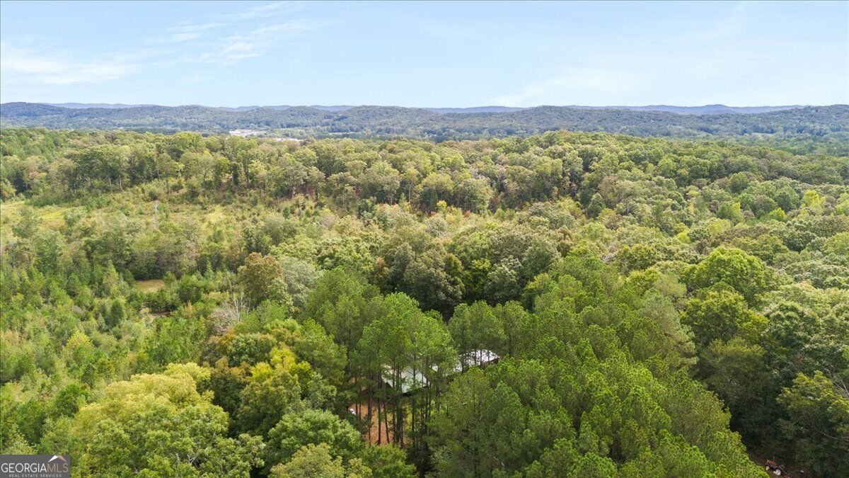 1293 Bronco Road La Fayette - Photo 35