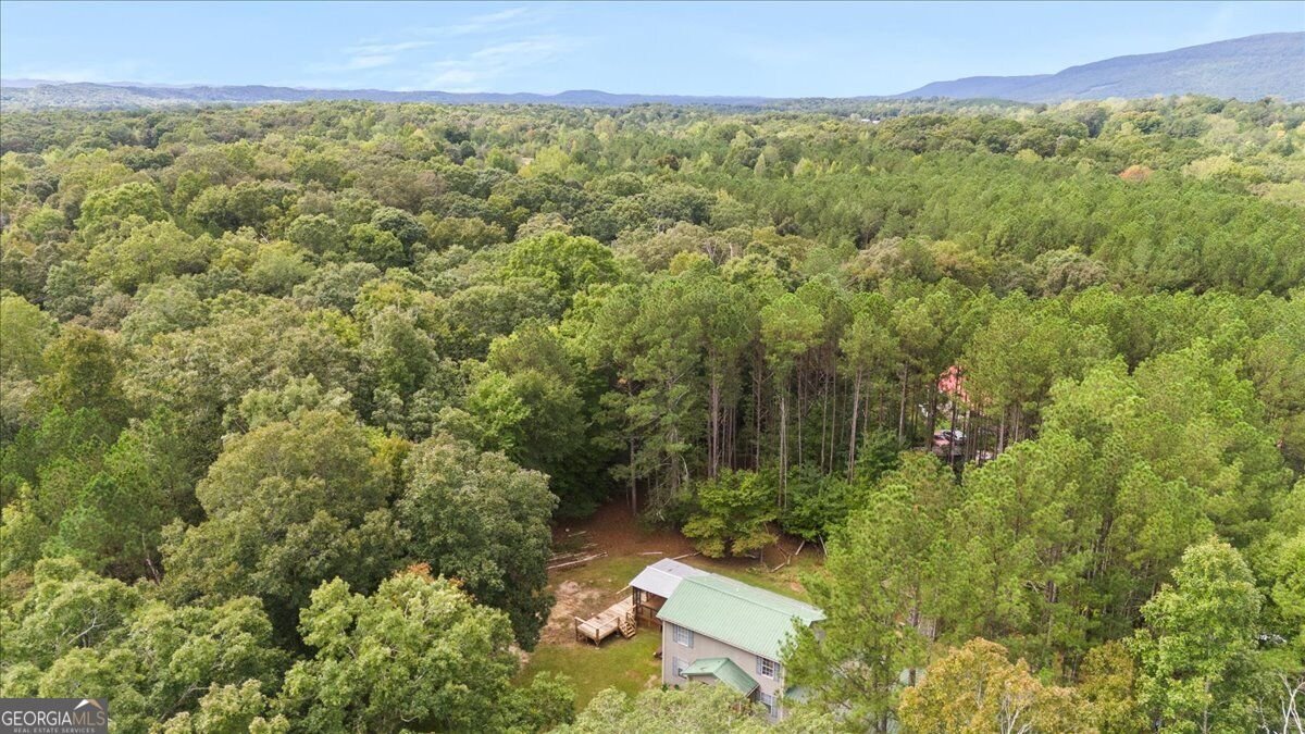 1293 Bronco Road La Fayette - Photo 36