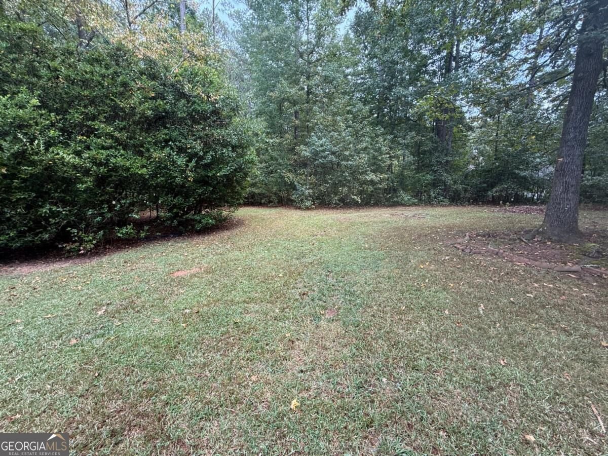 110 Emerald Lake Drive Fayetteville - Photo 47