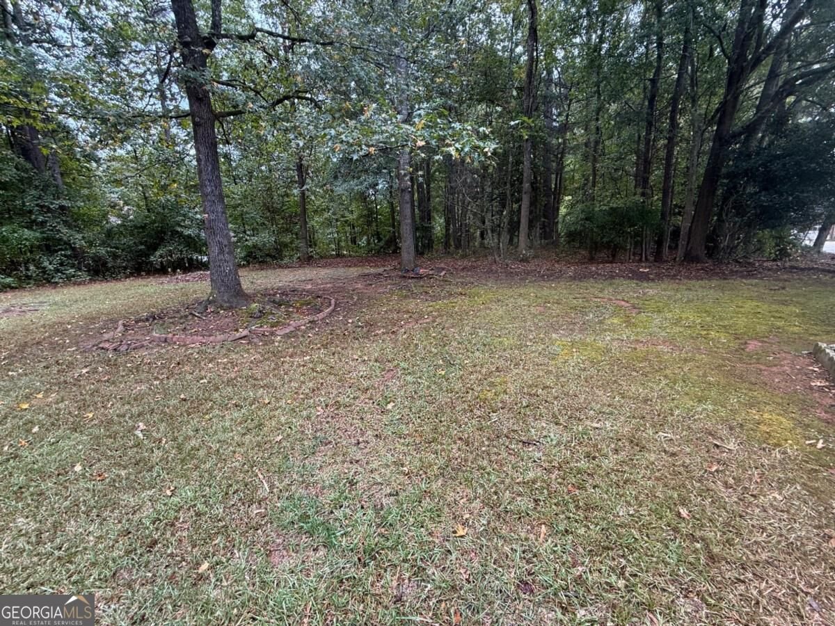 110 Emerald Lake Drive Fayetteville - Photo 48