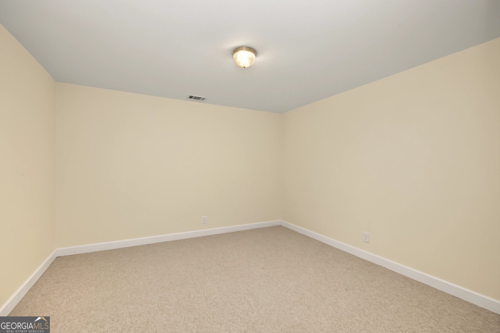 174 Sims Road Tyrone - Photo 46