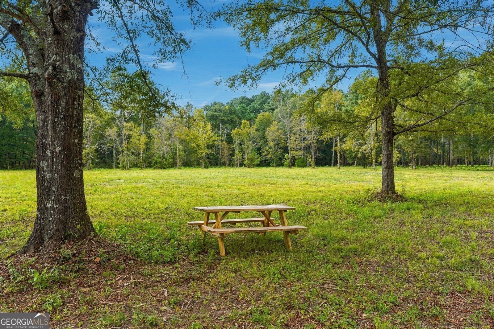 4053 Maple Grove Church Road Resaca - Photo 39