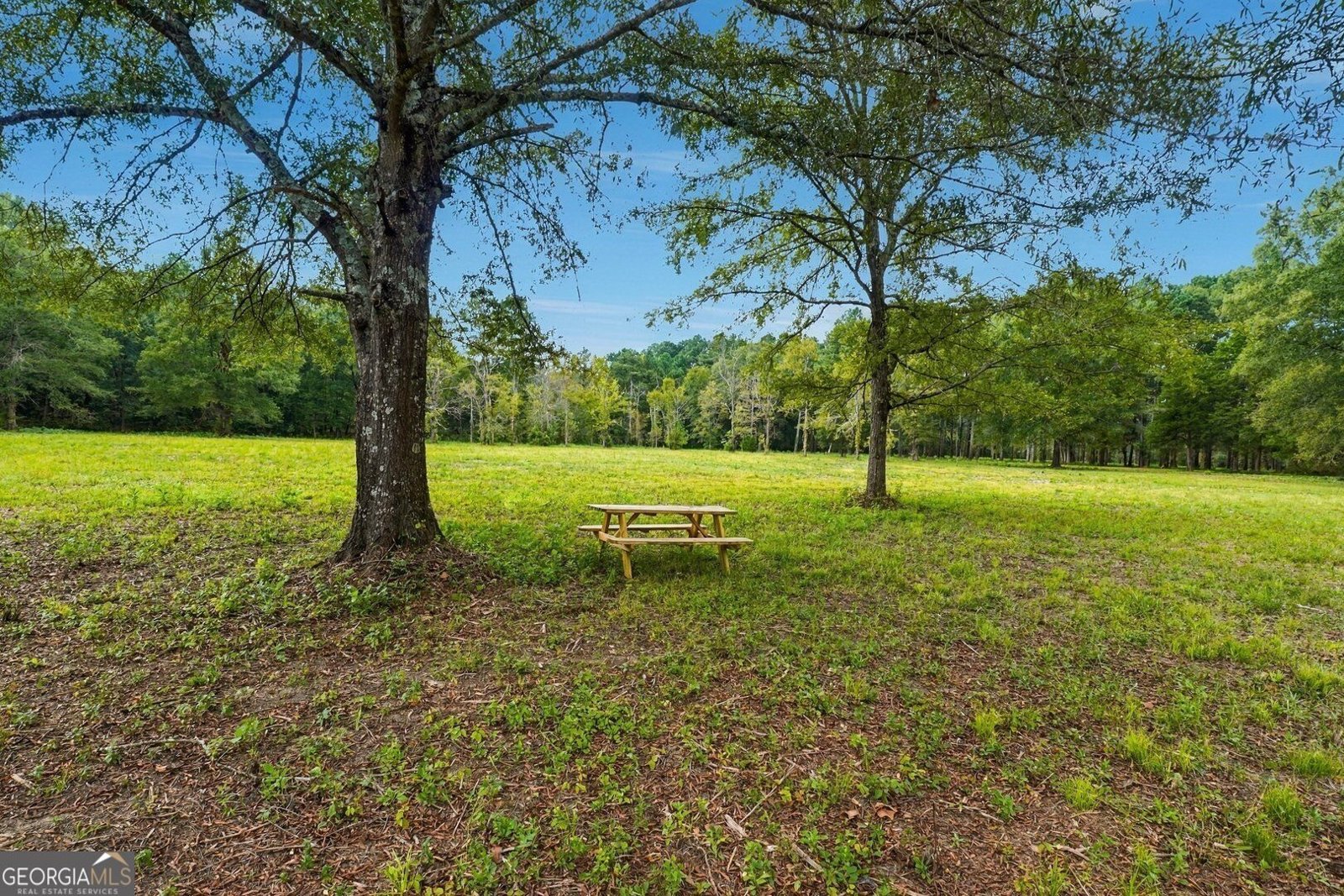 4053 Maple Grove Church Road Resaca - Photo 40