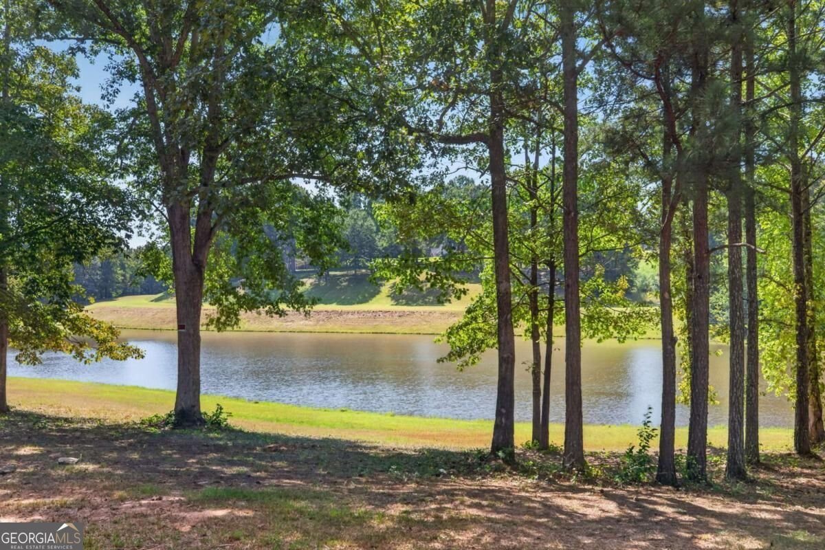 109 Lake Boulevard Carrollton - Photo 50