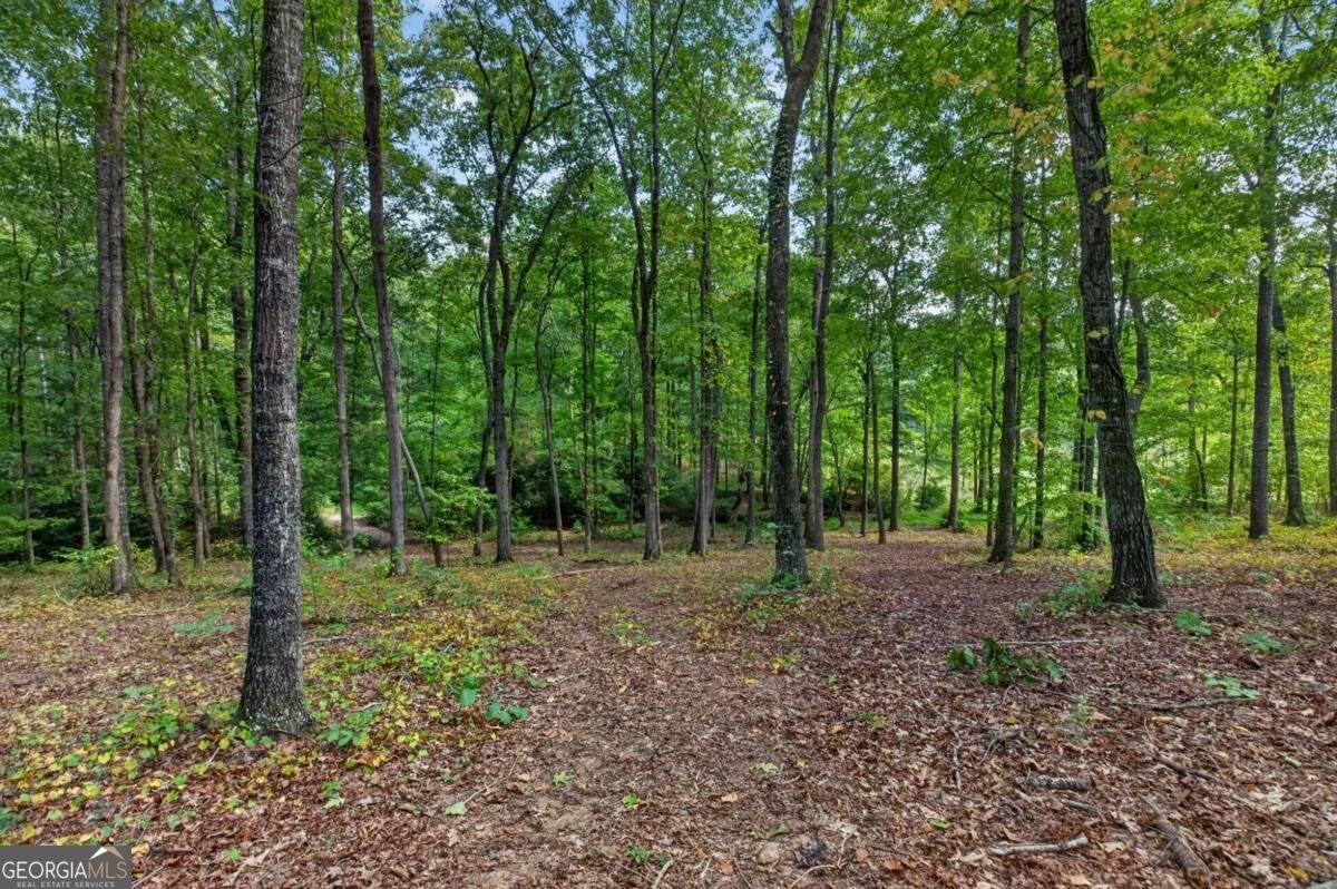 109 Lake Boulevard Carrollton - Photo 52