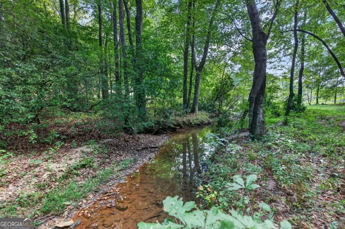 109 Lake Boulevard Carrollton - Photo 56