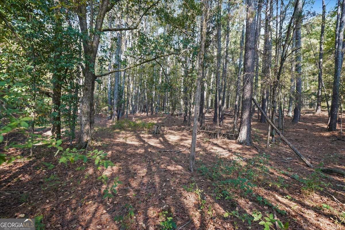 964 Sugar Valley Road Cartersville - Photo 56