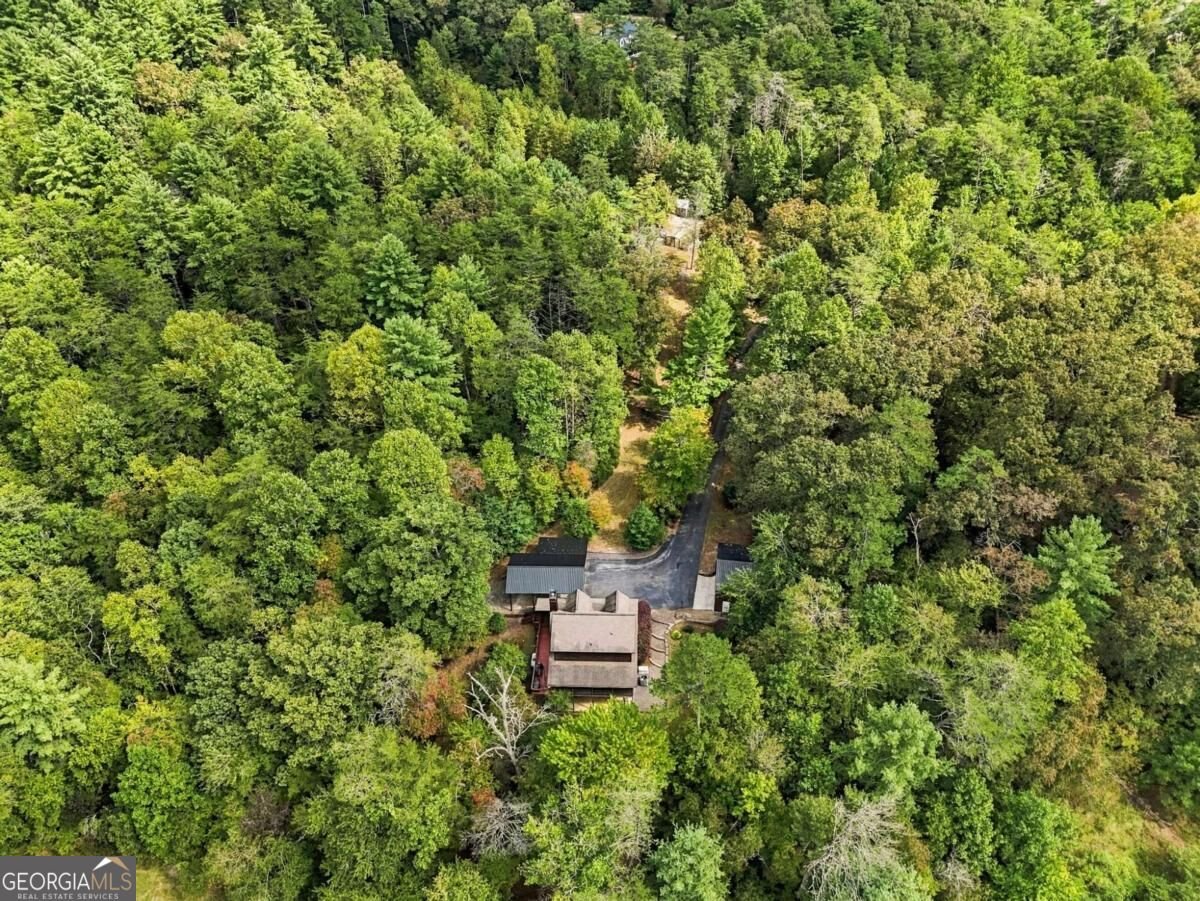 218 Kings Farm Road Blue Ridge - Photo 56