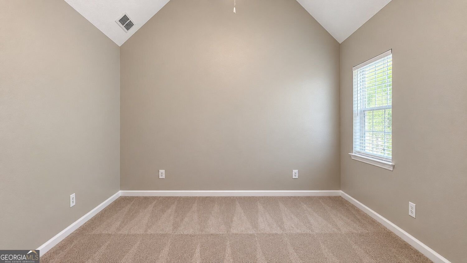 20 Bartlett Drive Sharpsburg - Photo 22