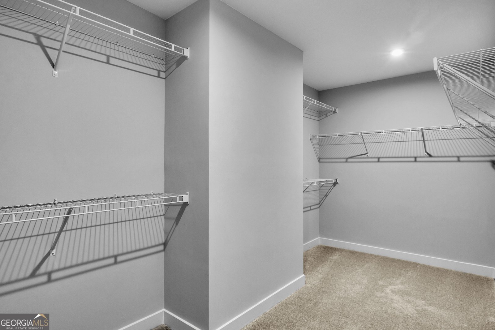 549 Daffodil Lane McDonough - Photo 45
