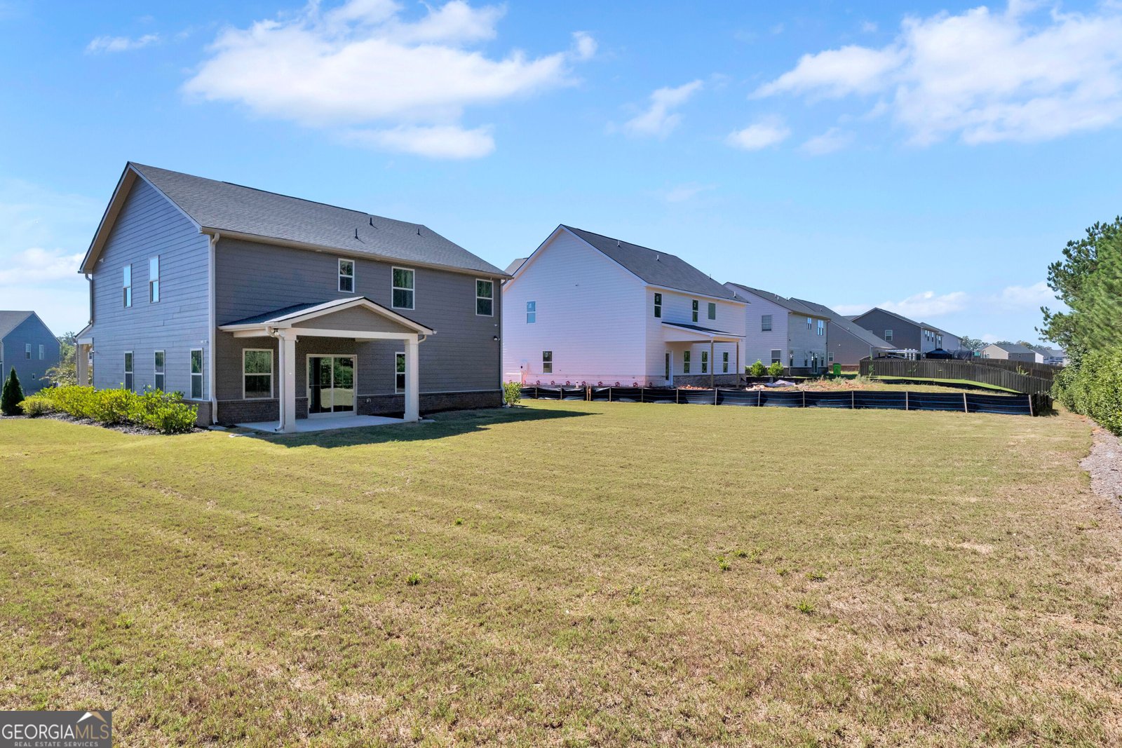 549 Daffodil Lane McDonough - Photo 49