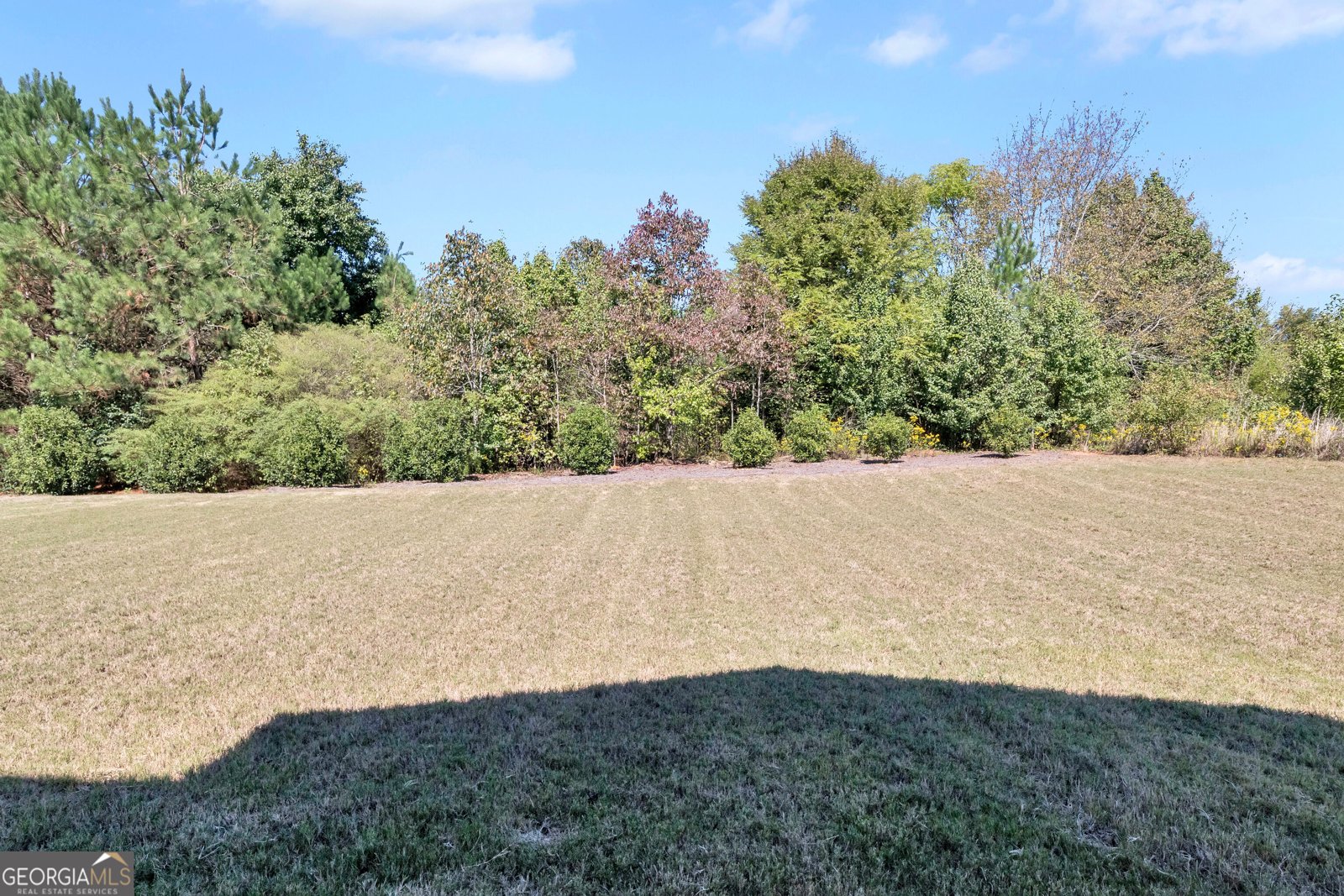 549 Daffodil Lane McDonough - Photo 50