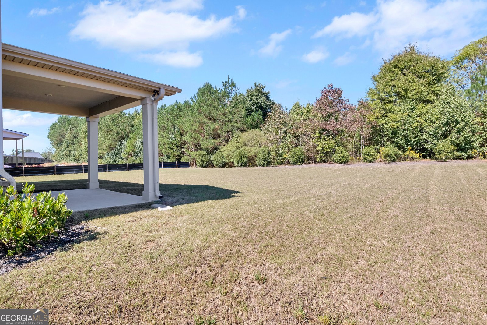 549 Daffodil Lane McDonough - Photo 51