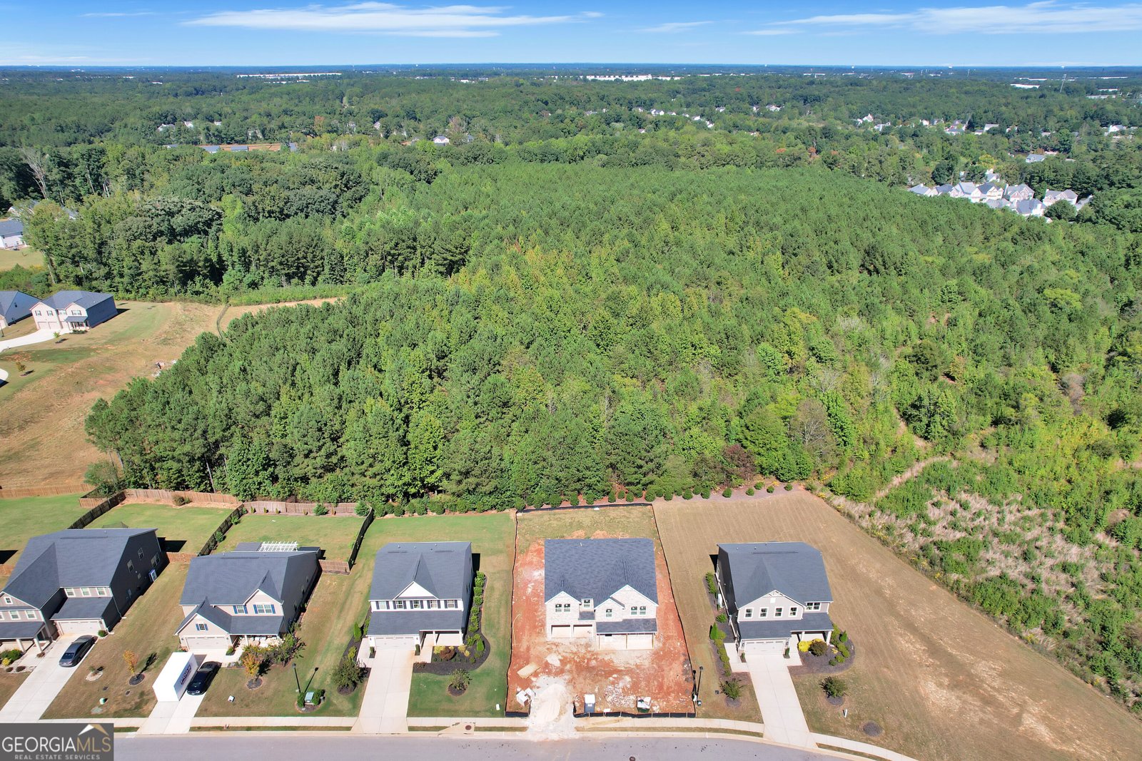 549 Daffodil Lane McDonough - Photo 8