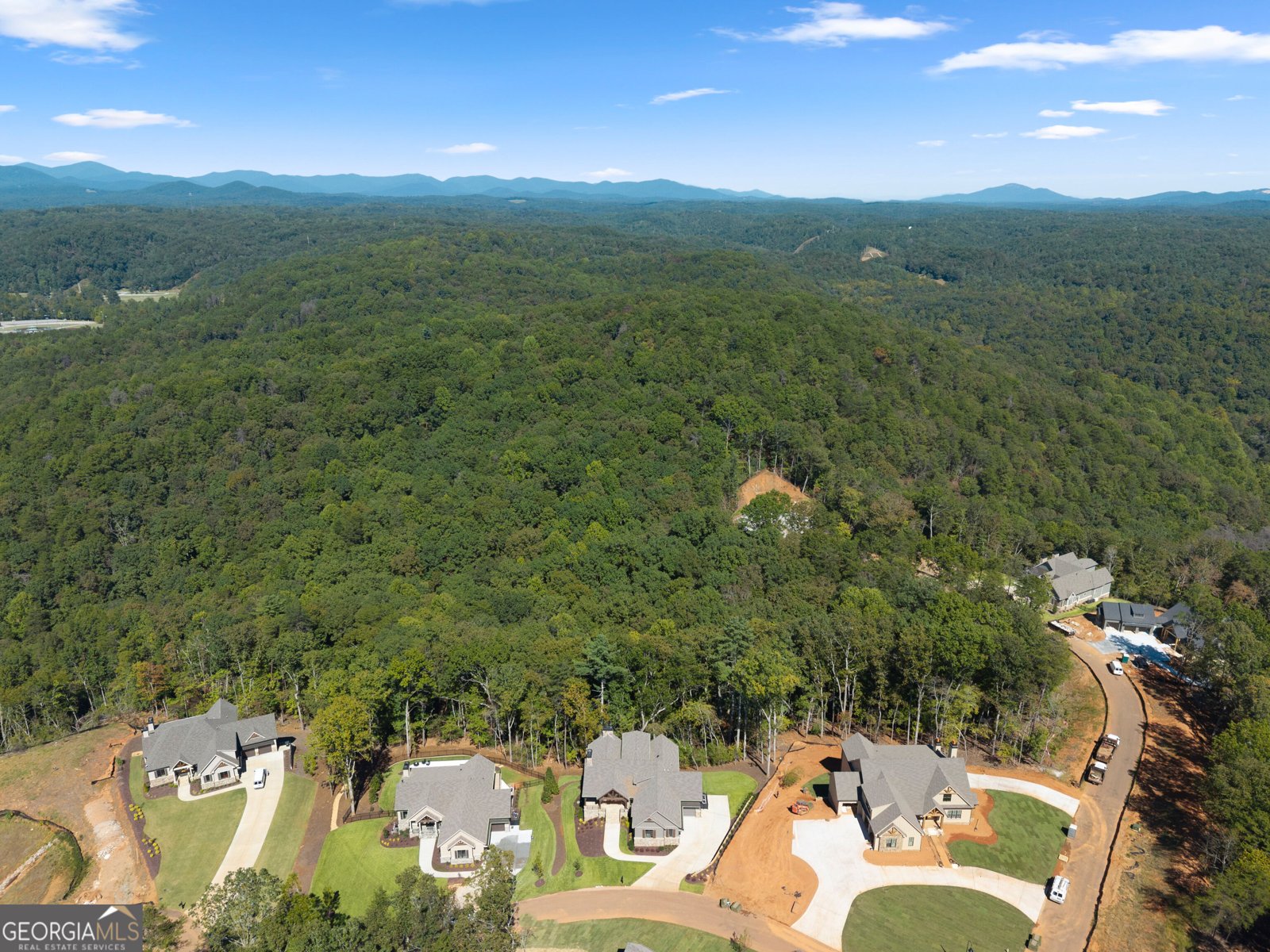 30 Overlook Cove Dahlonega - Photo 84
