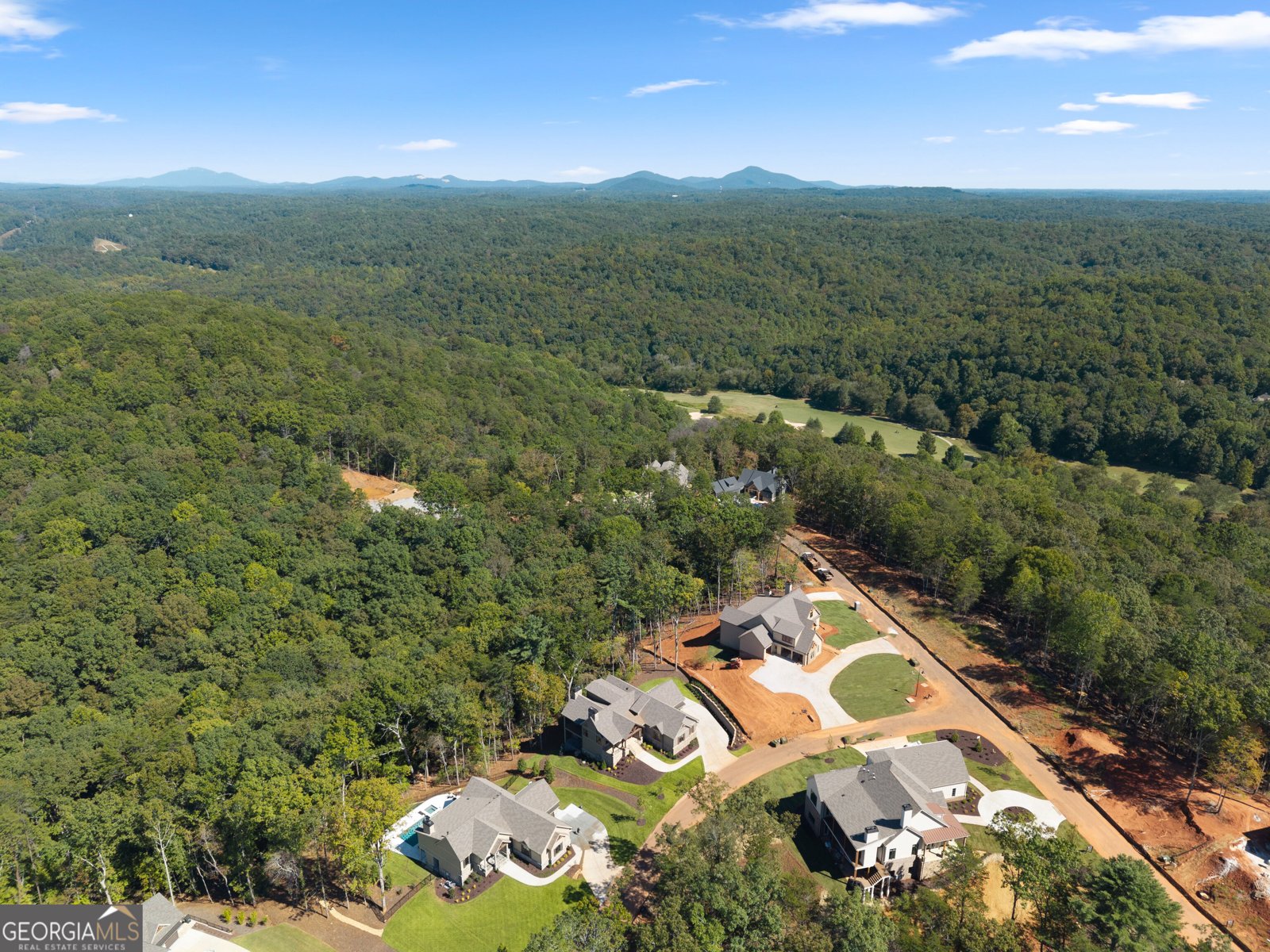 30 Overlook Cove Dahlonega - Photo 85