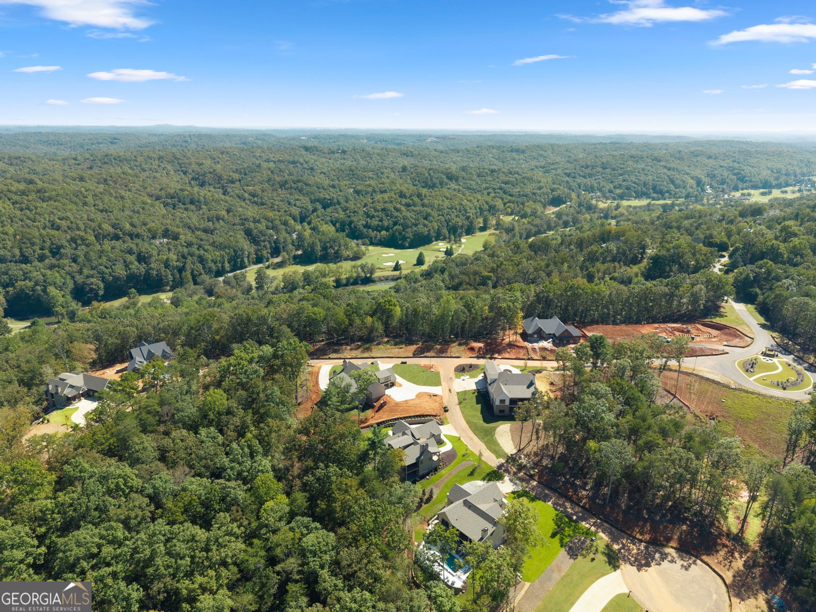 30 Overlook Cove Dahlonega - Photo 86