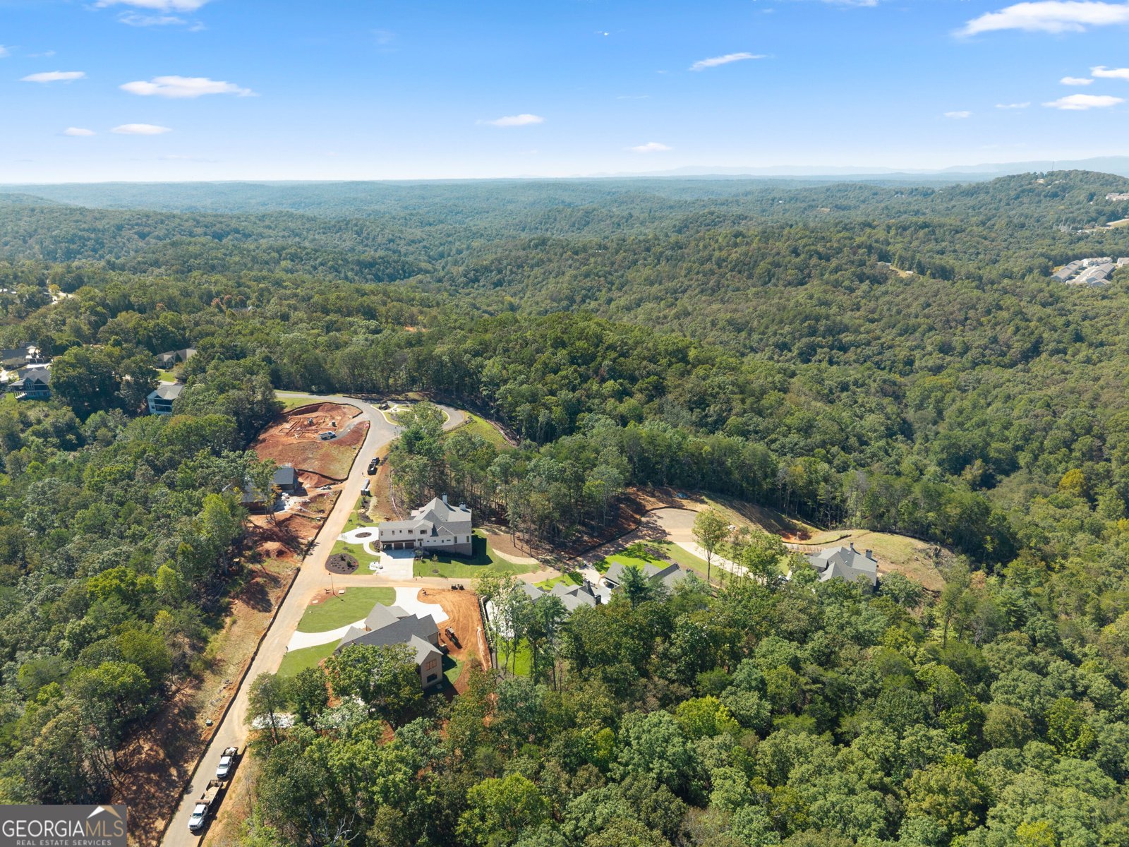 30 Overlook Cove Dahlonega - Photo 87