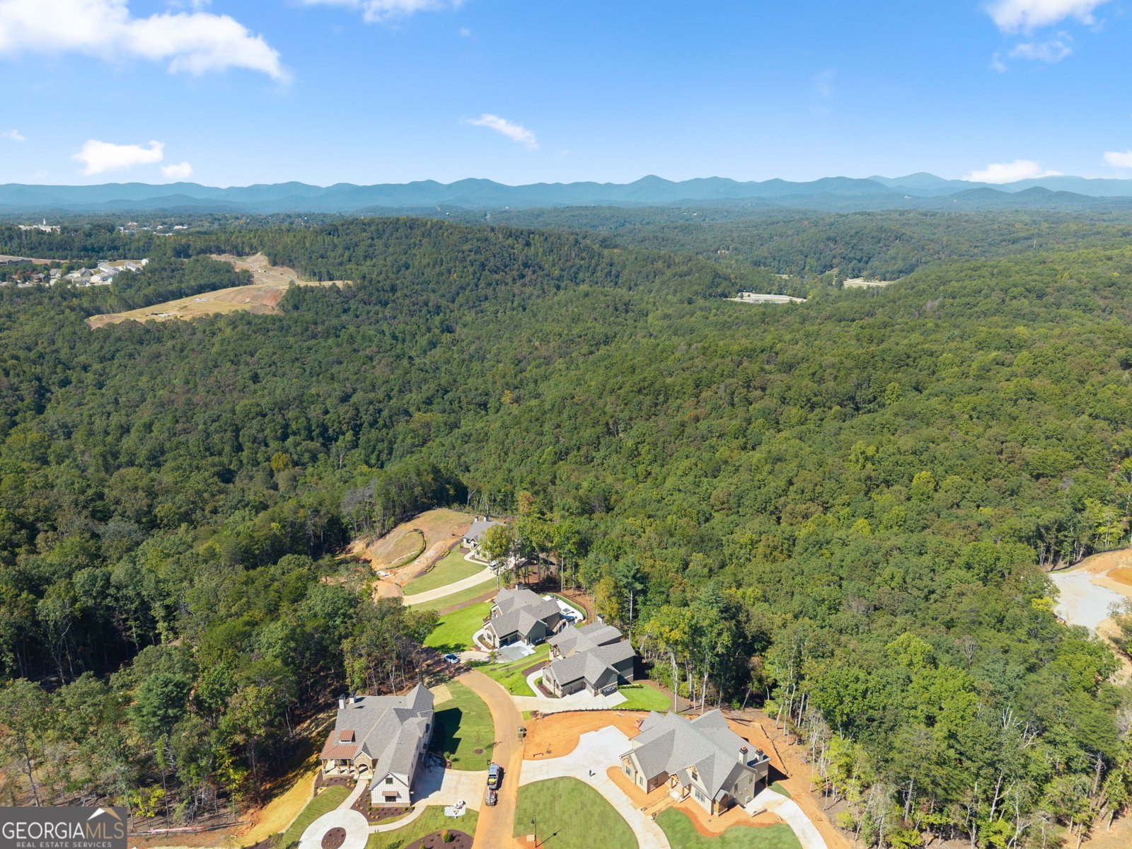 30 Overlook Cove Dahlonega - Photo 88